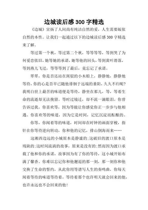 边城读后感300字精选