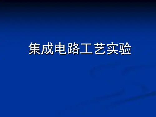 集成电路工艺试验