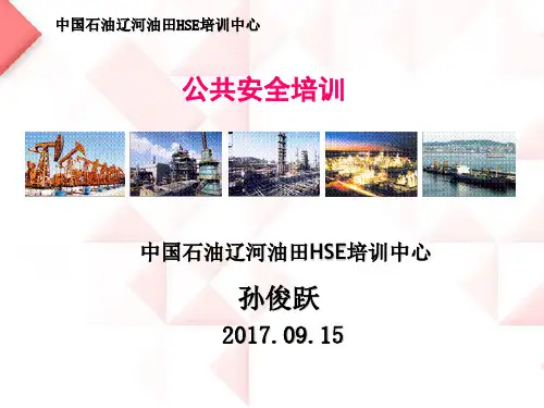 2017最新公共安全课件