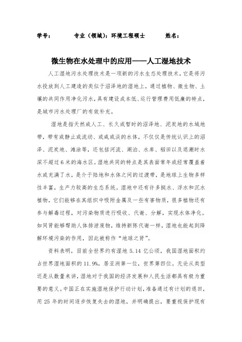 人工湿地 3