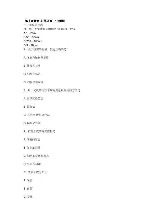 组织学与胚胎学练习一
