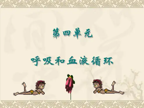 呼吸和血液循环