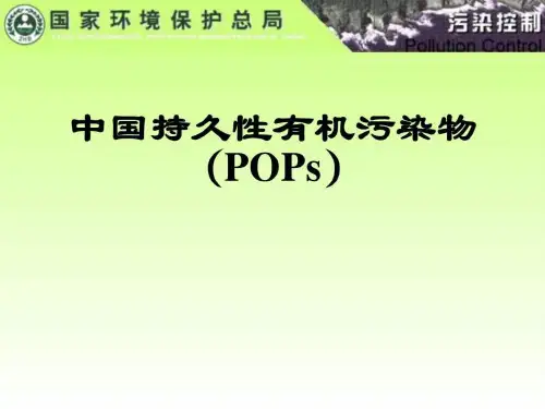 中国持久性有机污染物.ppt