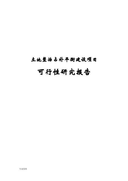 土地整治占补平衡建设项目可行性研究报告