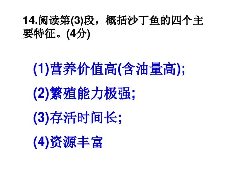 《沙丁鱼》