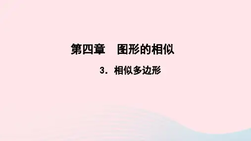 数学九年级上册第四章图形的相似3相似多边形作业课件 北师大版