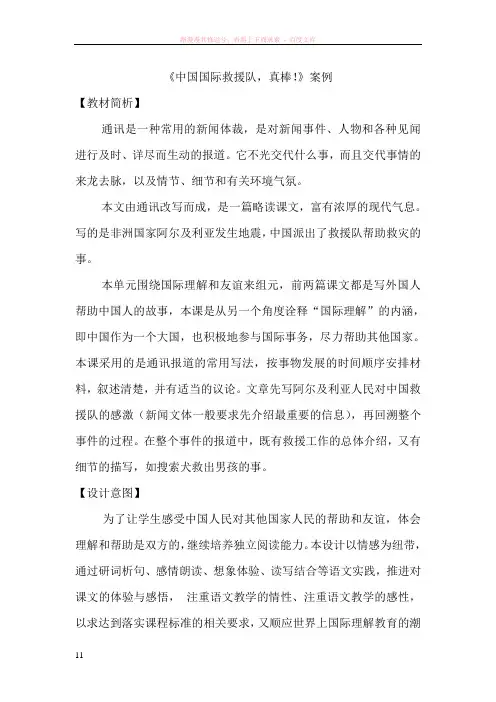 中国国际救援队案例