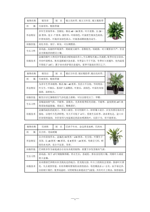 室内盆栽绿化植物图片养殖介绍大全