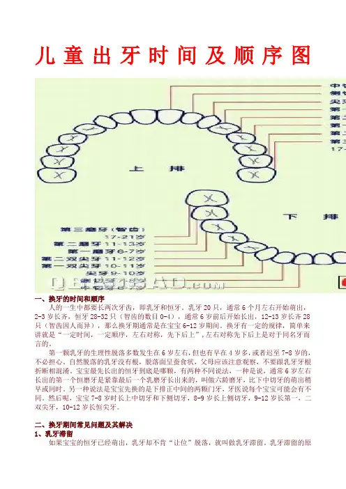 儿童出牙及换牙顺序图