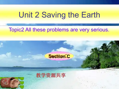 仁爱英语九年级unit2topic2sectionC