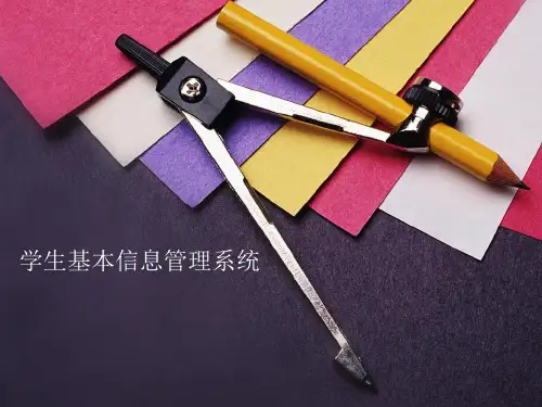 管理信息系统展示.
