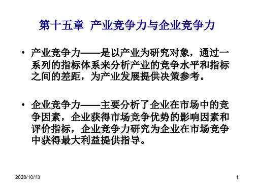 产业经济学课件15PPT课件