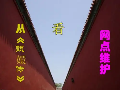从甄嬛传看网点维护