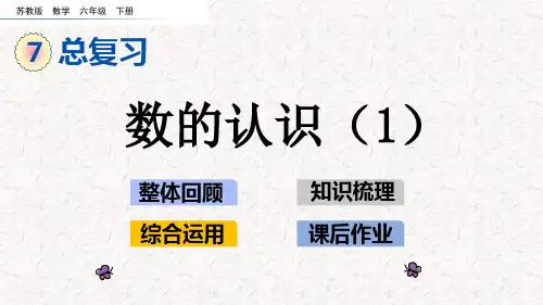 苏教版六年级下册数学第七单元总复习(1)