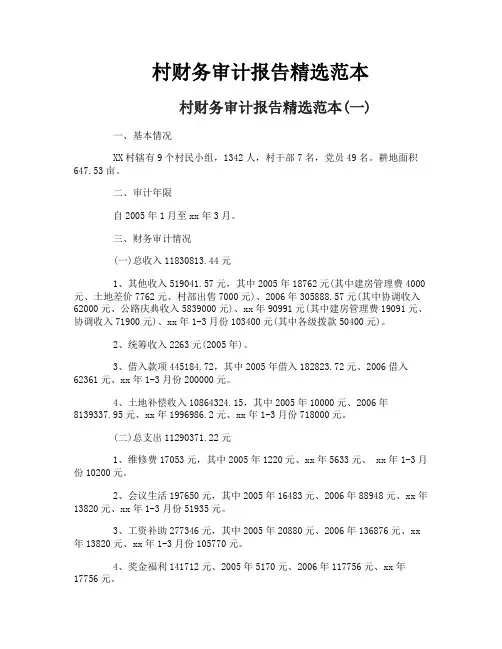 村财务审计报告精选范本