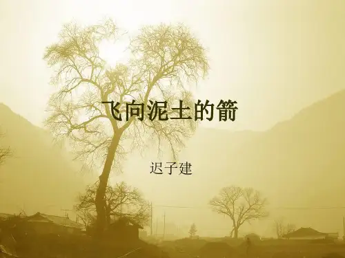 飞向泥土的箭