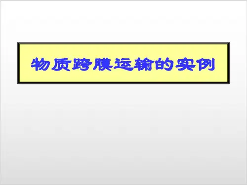 人教版生物必修一物质跨膜运输实例ppt