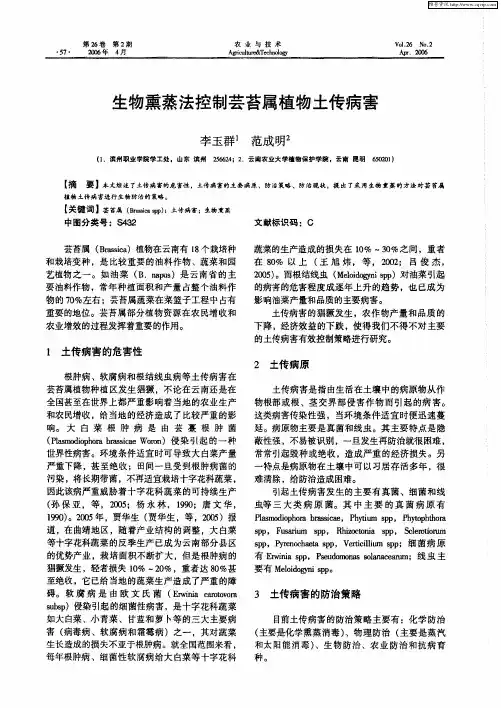 生物熏蒸法控制芸苔属植物土传病害