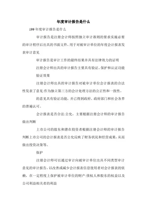 年度审计报告是什么.doc