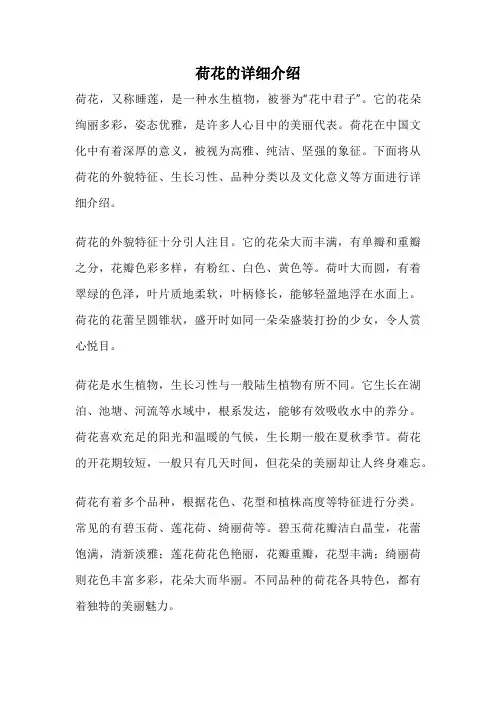 荷花的详细介绍