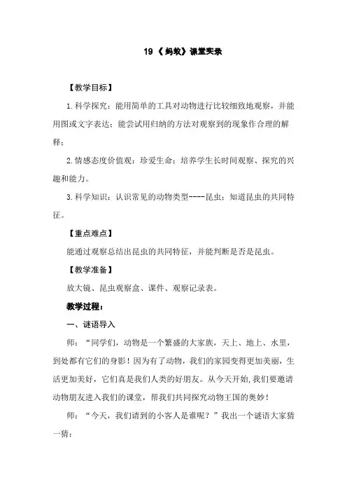 青岛版小学科学三年级下册《蚂蚁》课堂实录