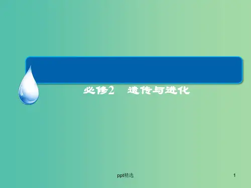 高考生物一轮总复习 7.2.4从杂交育种到基因工程课件