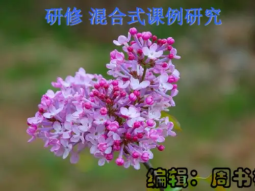 混合式课例研究