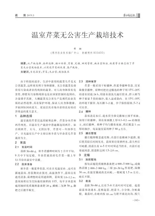 温室芹菜无公害生产栽培技术
