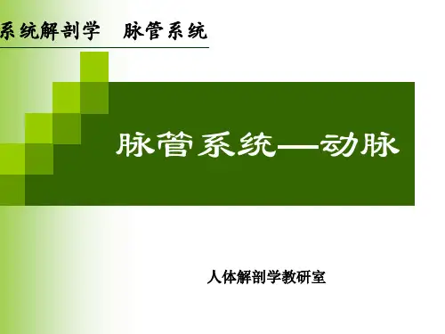 系统解剖学脉管系统共61页