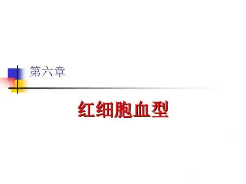 红细胞血型