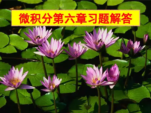 微积分第六章习题解答