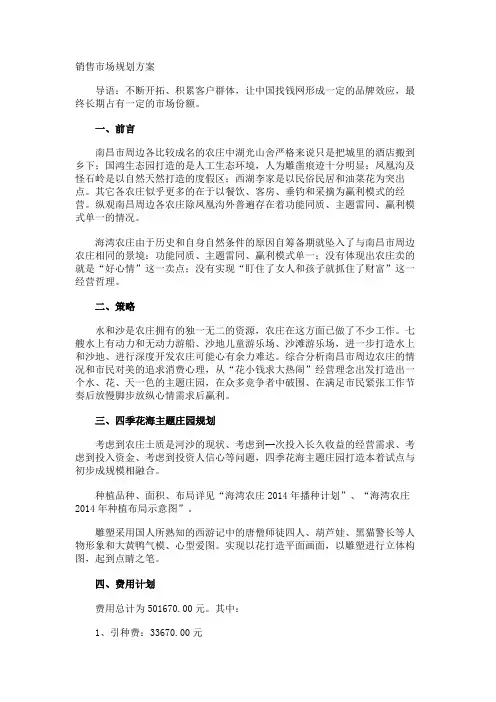 销售市场规划方案