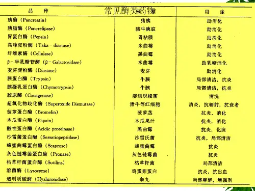 补充酶类药物及其生产工艺