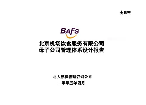 母子公司管理体系设计报告