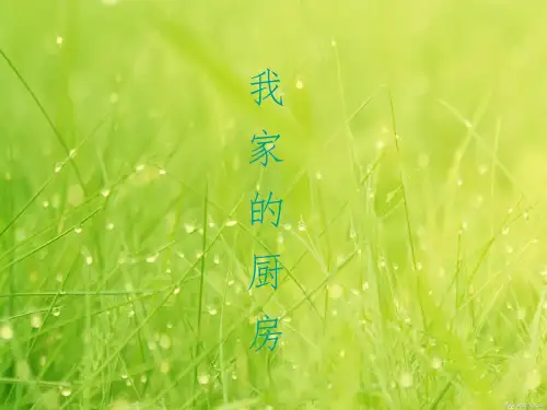 【人教版】《生活与科技》一年级下册:3.2.《我家的厨房》ppt课件(2)