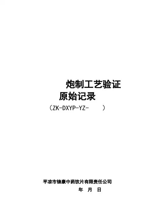 验证原始记录(模板)解析