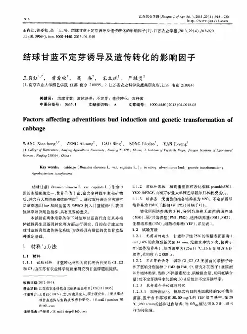 结球甘蓝不定芽诱导及遗传转化的影响因子