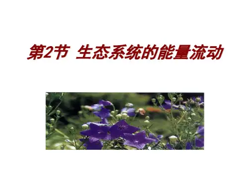 生态系统的能量流动