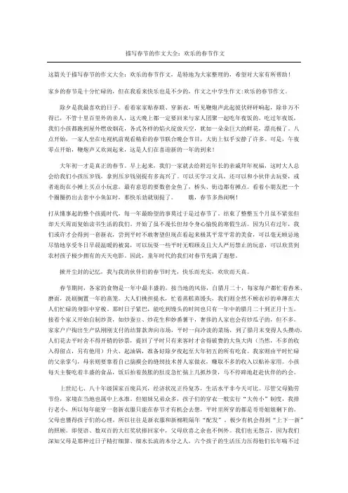 描写春节的作文大全欢乐的春节作文
