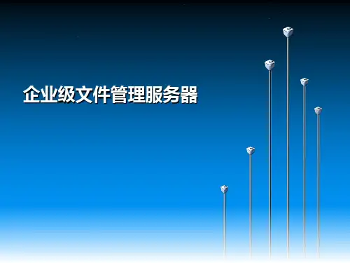 企业级文件管理服务器
