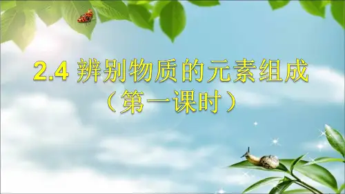 2.4 辨别物质的元素组成