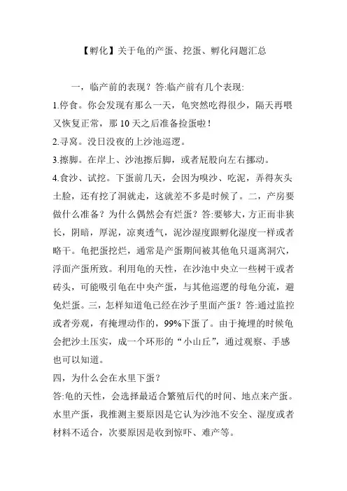 【孵化】关于龟的产蛋、挖蛋、孵化问题汇总