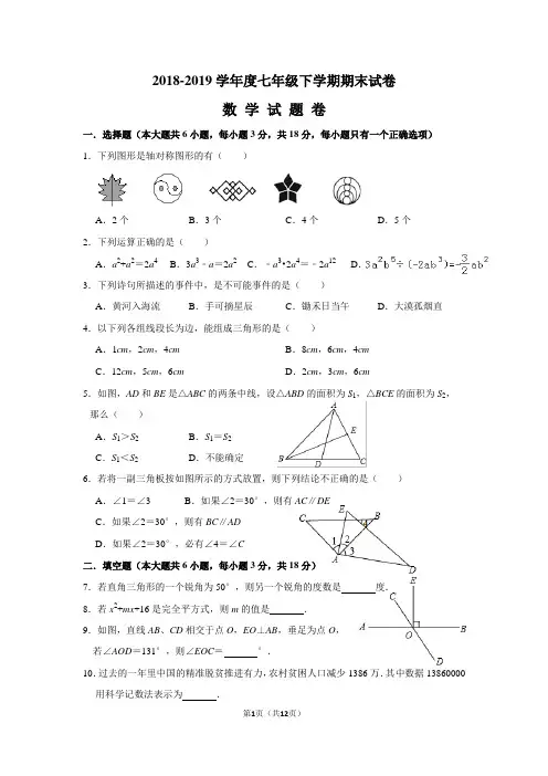 2018-2019学年度七年级下学期期末试卷数学试题卷
