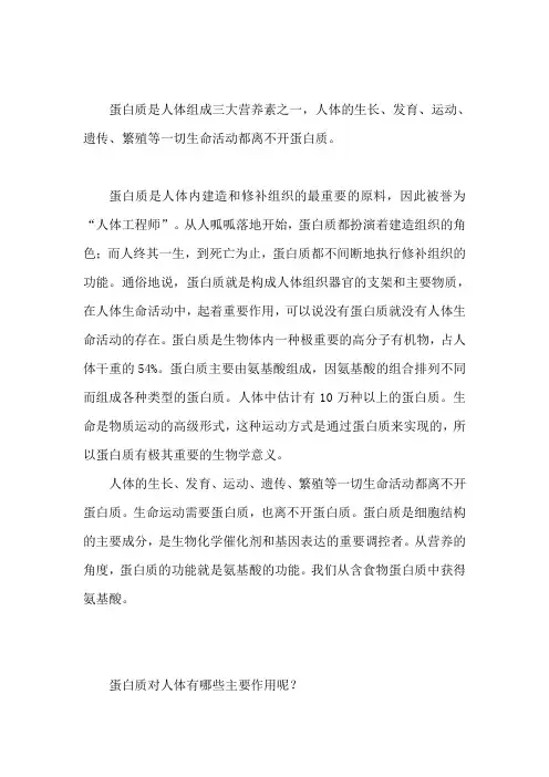 蛋白质与人体健康关系