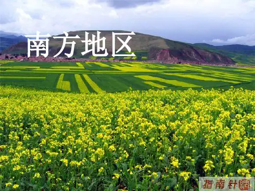 《南方地区》课件