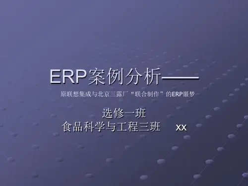 ERP案例分析