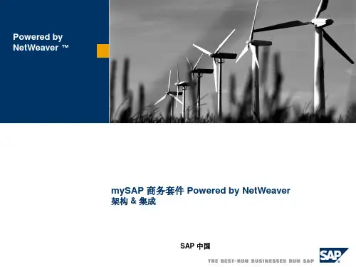 SAP技术架构及ERP实现方法简介