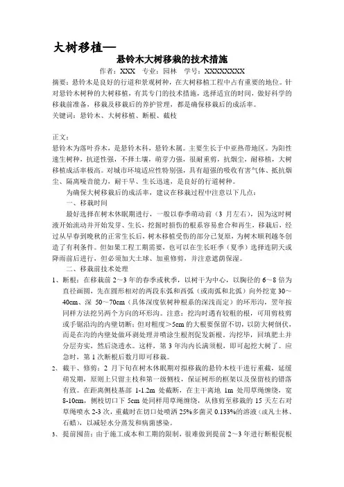 悬铃木大树移栽的技术措施