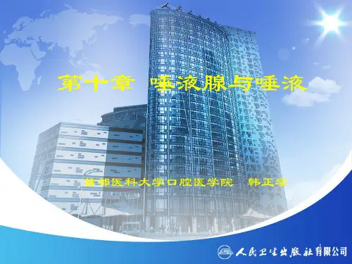 11.唾液腺ppt课件
