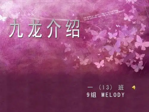 九龙介绍
